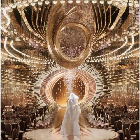 DUTTI LED Large Crystal Non-standard Modern Chandelier: Transforming Ballrooms