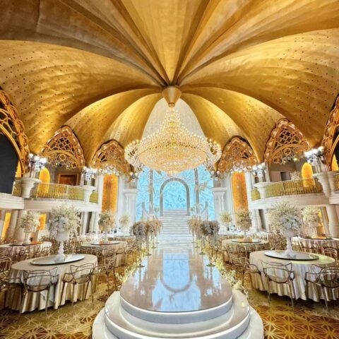 Elevate Wedding Banquet Hall with the DUTTI LED Large Crystal Non-standard Modern Chandelier