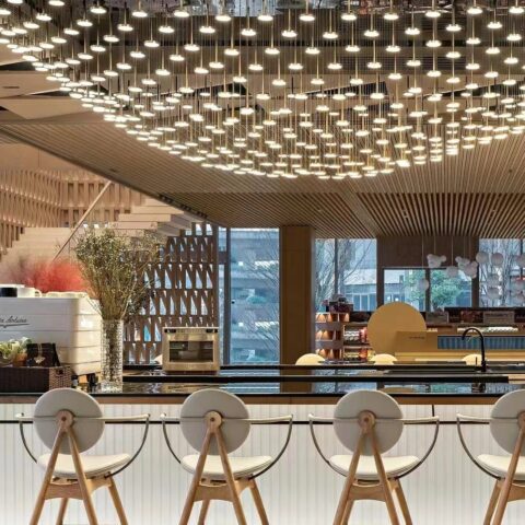 The Chandelier Lights for Restaurant Noma, Copenhagen Dutti